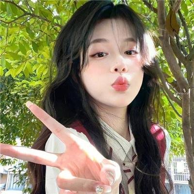 29片棕榈叶